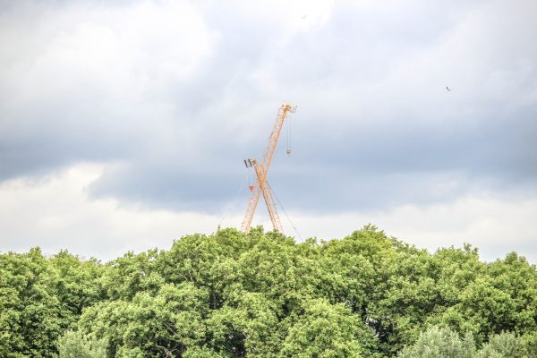 כל הזמן מתחדשת