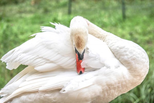 טיול ליד נהר הקאם