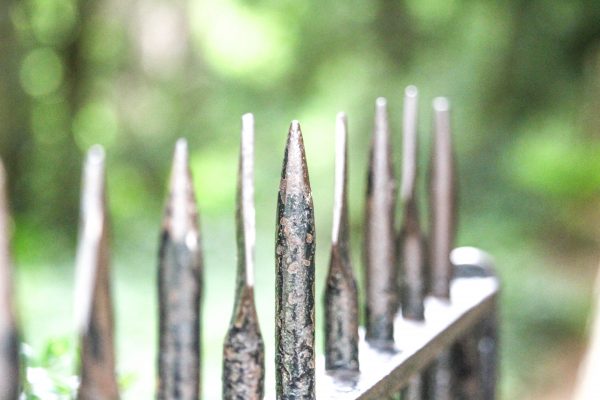 טיול ליד נהר הקאם