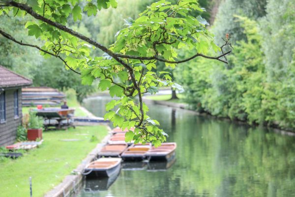 טיול ליד נהר הקאם