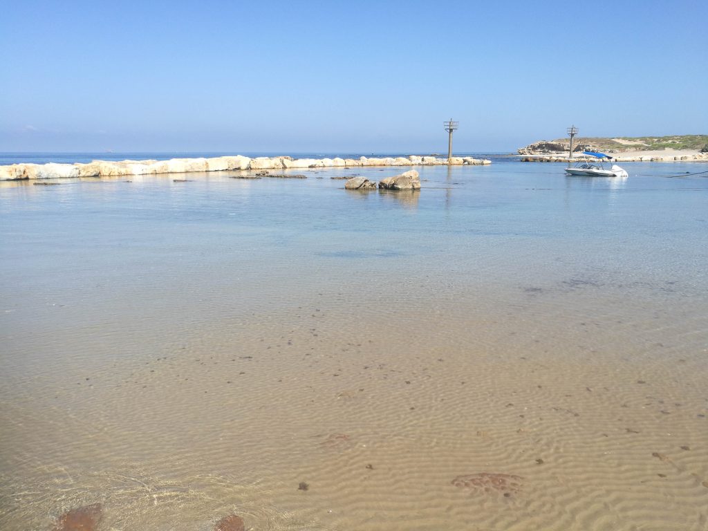 ביצ'האוס מרחב עבודה שיתופי