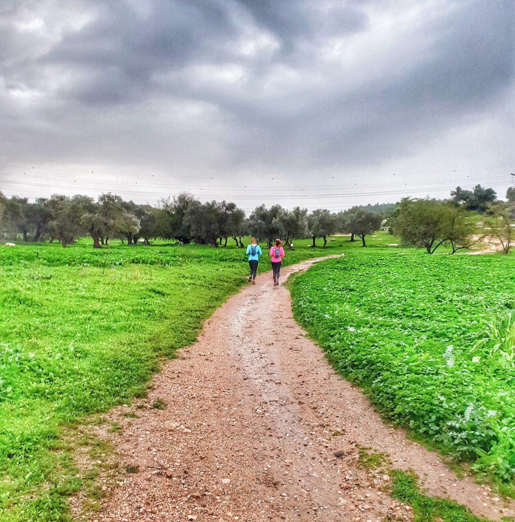 מסלולי ריצה בארץ