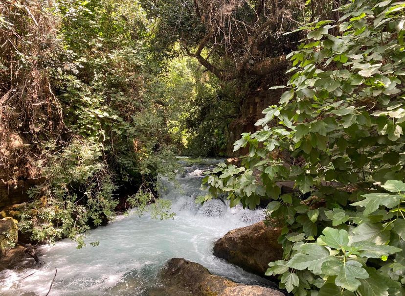 השביל התלוי למפל הבניאס