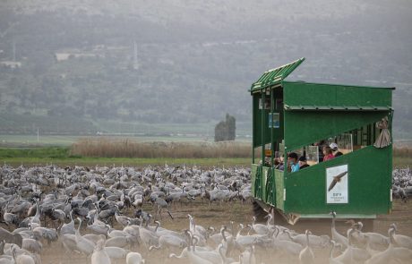 מטיילת בכפכפים / יוצאים מהסגר ישר לצפון