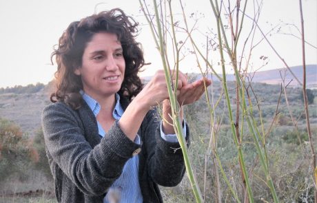 נשים ועסקים / הגר שטייגמן