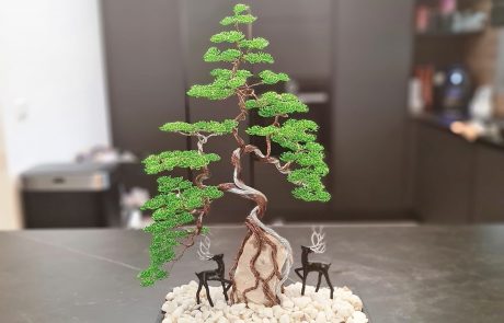 שופינג / פאר אהרוני – מעצב עצי בונסאי