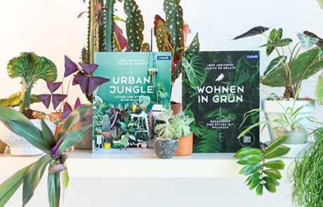 עולם ירוק וקהילתי מדהים: ראיון עם היזמים של הבלוג Urbanjungle